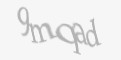 Защитный код